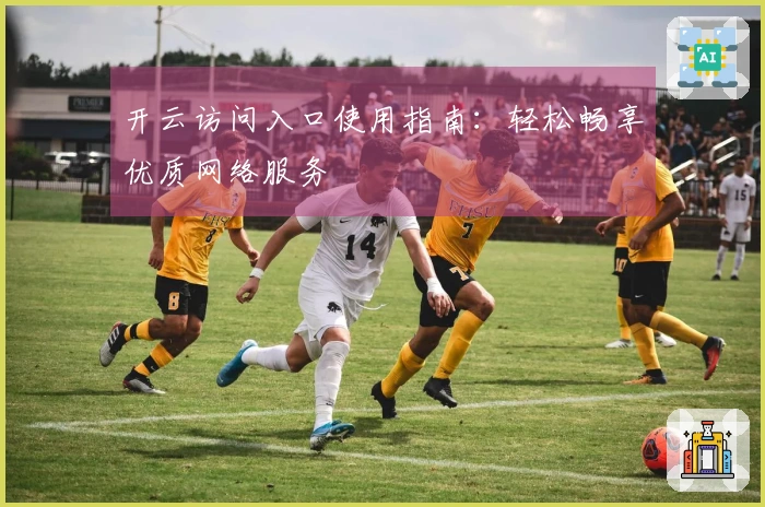 开云访问入口使用指南：轻松畅享优质网络服务